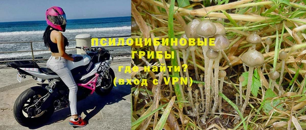 mdpv Алексеевка
